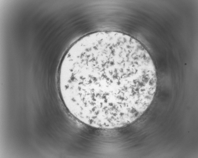 X0000065970856200603311837