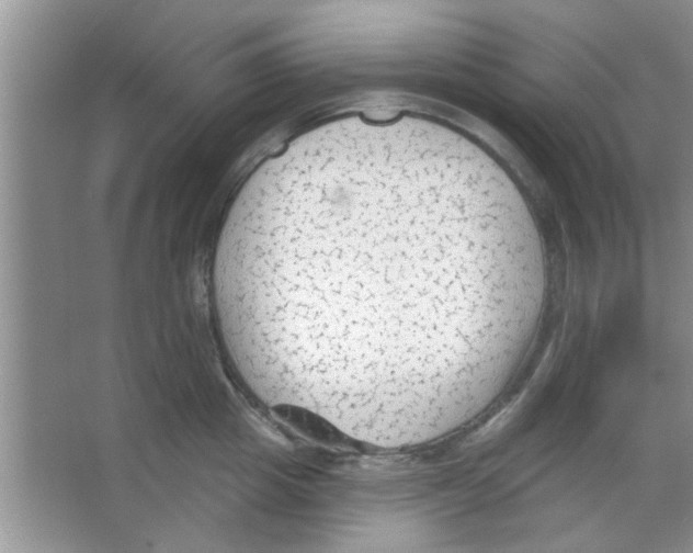 X0000065970857200603311837