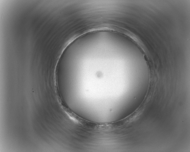 X0000065970858200603311837