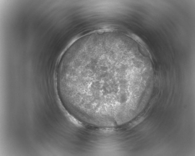 X0000065970859200603311837