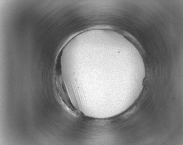 X0000065970860200603311837