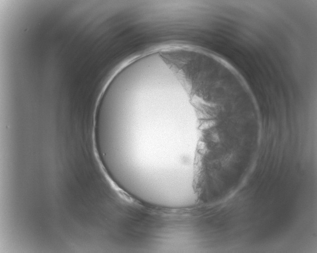 X0000065970861200603311837