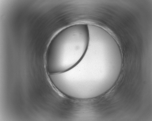 X0000065970862200603311837