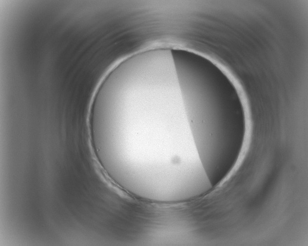 X0000065970864200603311837