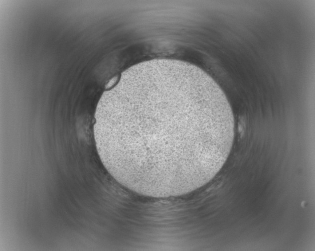 X0000065970867200603311836