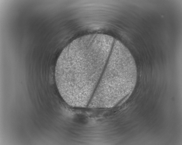 X0000065970868200603311836