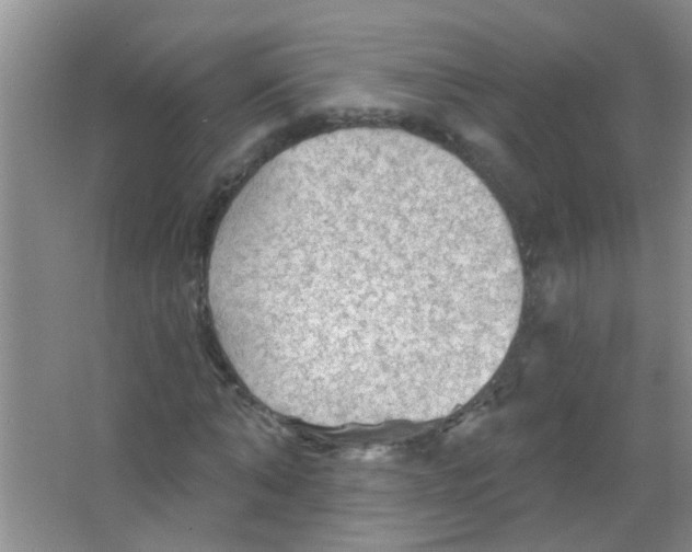 X0000065970870200603311836