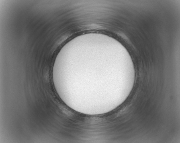 X0000065970873200603311836