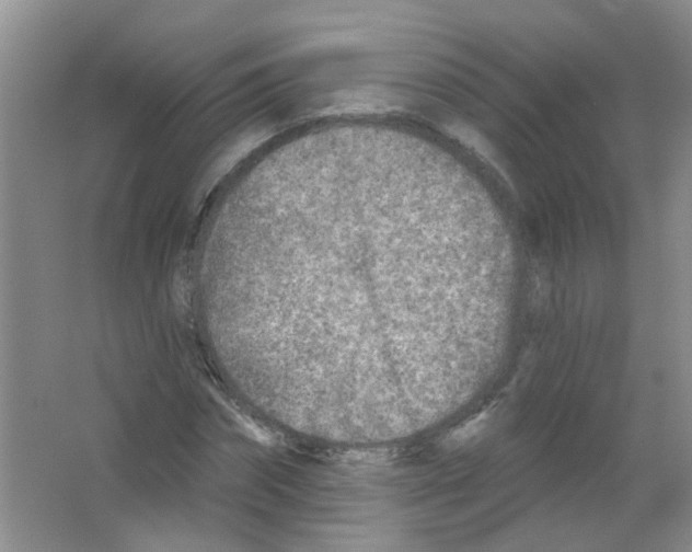 X0000065970874200603311836