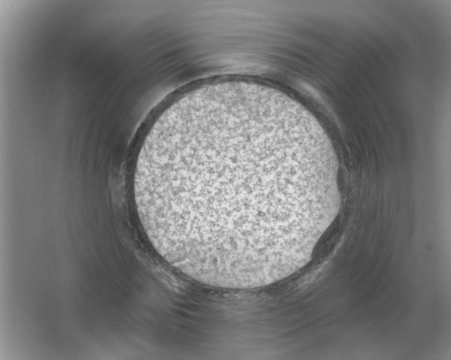 X0000065970875200603311836