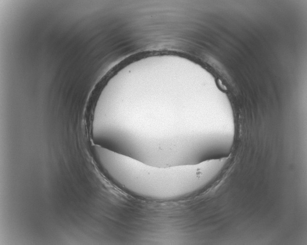 X0000065970876200603311836