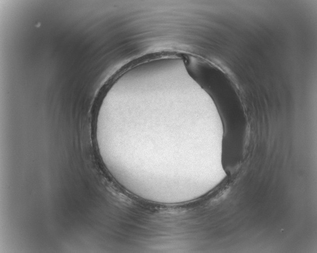 X0000065970877200603311836