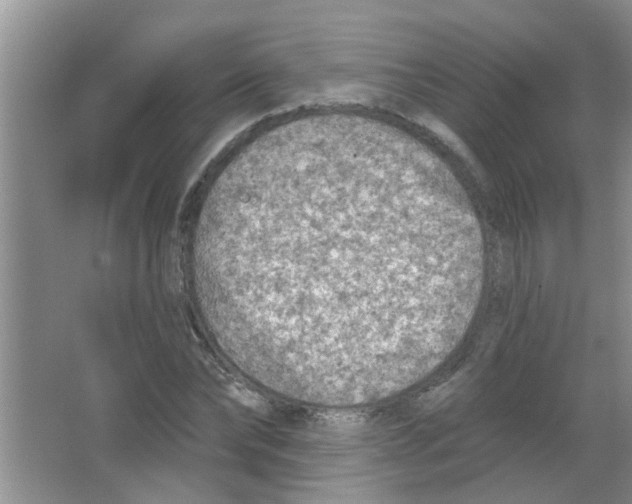 X0000065970878200603311836