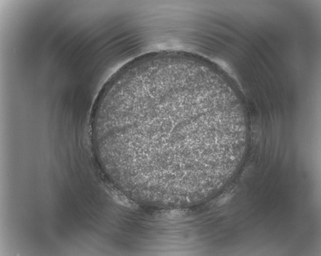 X0000065970879200603311836