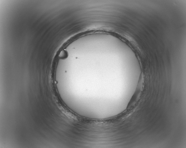 X0000065970880200603311836