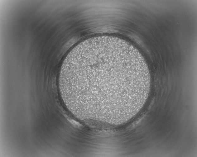 X0000065970881200603311836