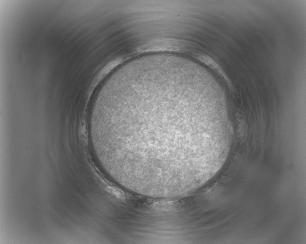 X0000065970882200603311836