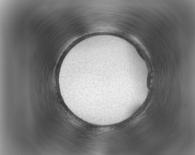 X0000065970883200603311836