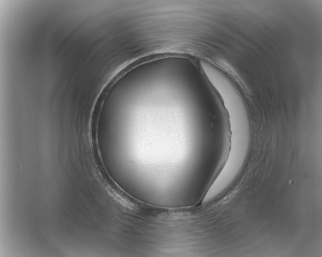 X0000065970884200603311836