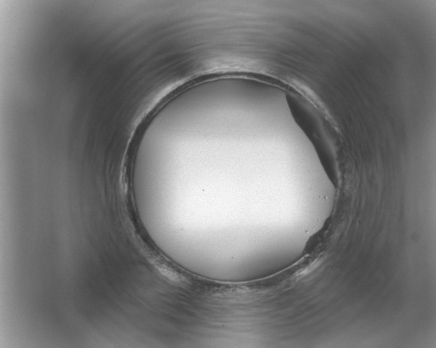 X0000065970885200603311836