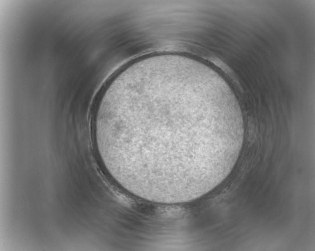 X0000065970886200603311836