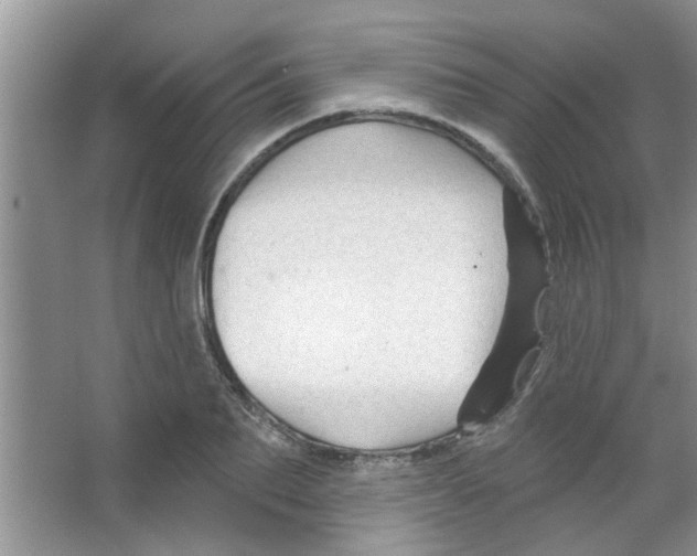 X0000065970887200603311836