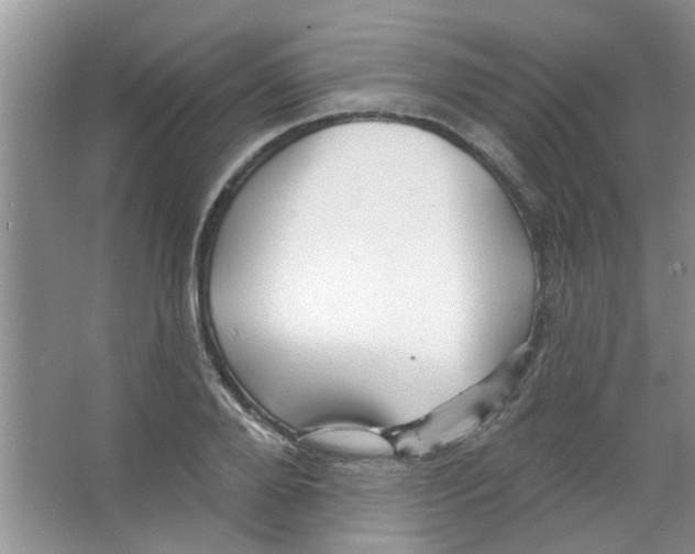 X0000065970888200603311836