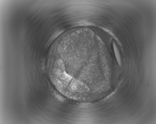 X0000065970889200603311836