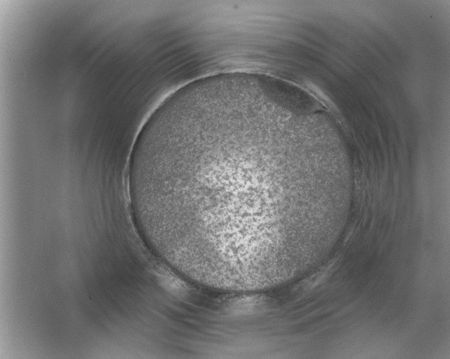 X0000065970891200603311836