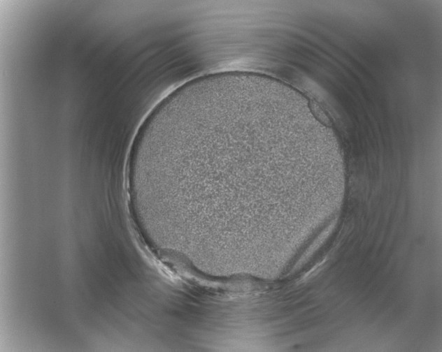 X0000065970892200603311836