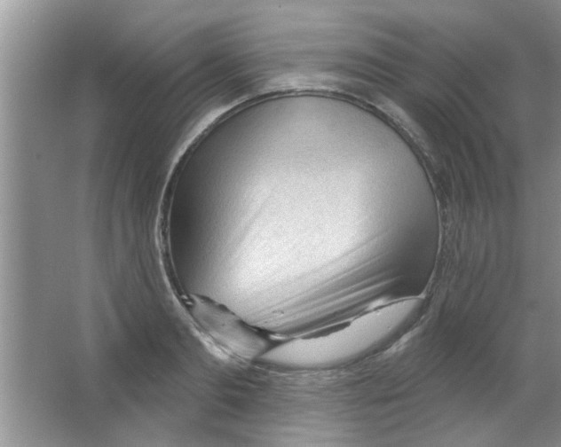 X0000065970893200603311836