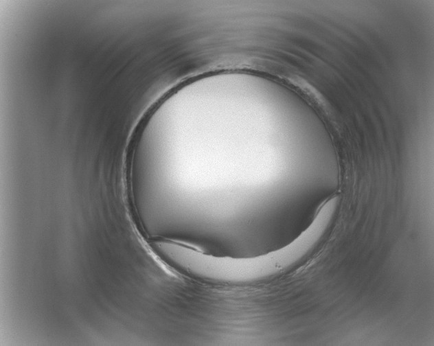 X0000065970894200603311836