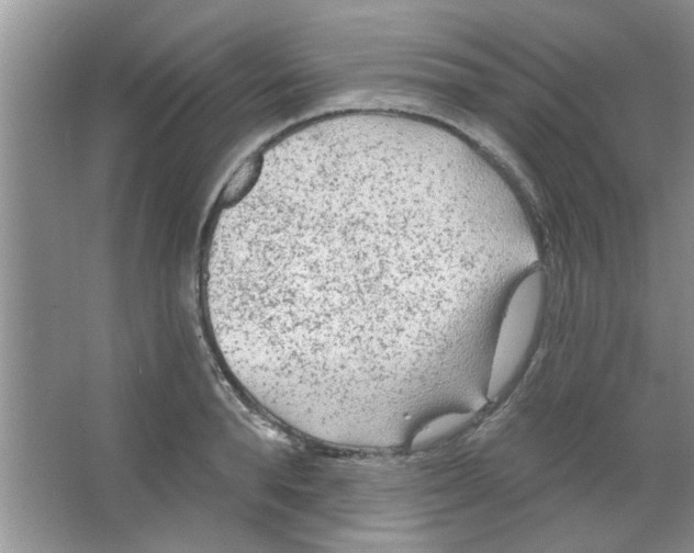 X0000065970896200603311836