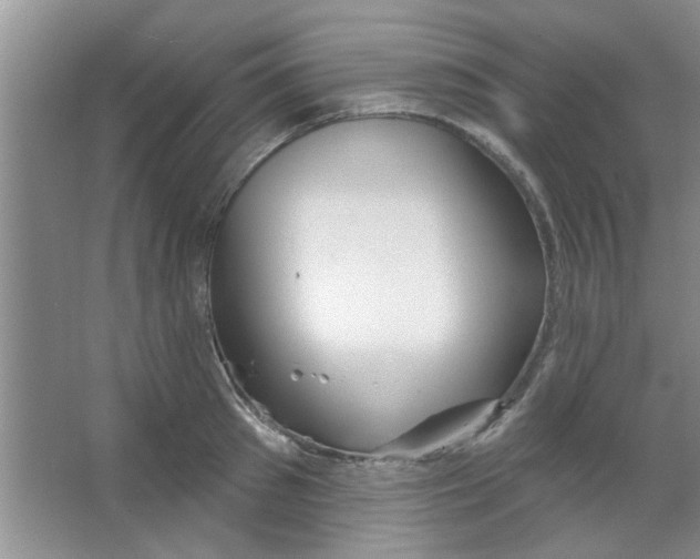 X0000065970897200603311836