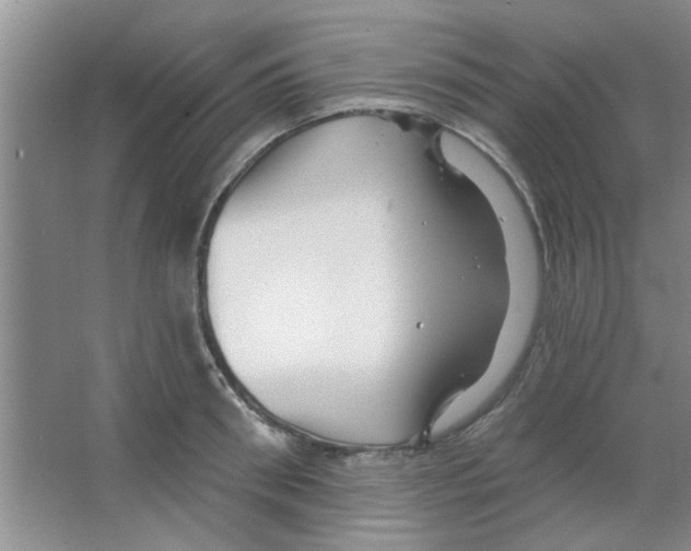 X0000065970898200603311836