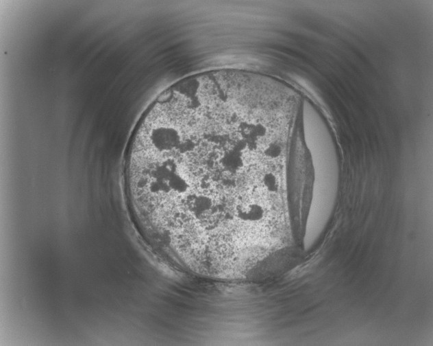 X0000065970899200603311835