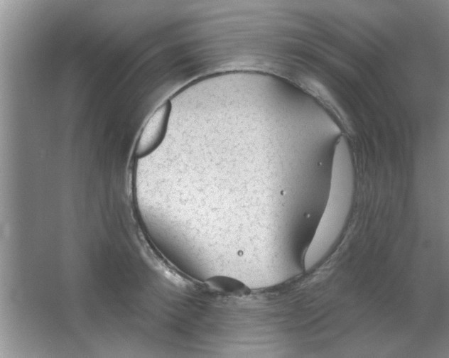 X0000065970900200603311835