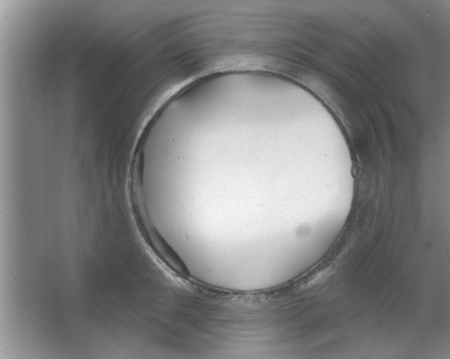 X0000065970901200603311835