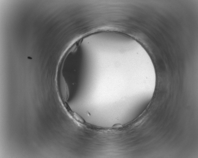 X0000065970902200603311835