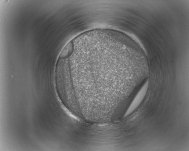 X0000065970903200603311835