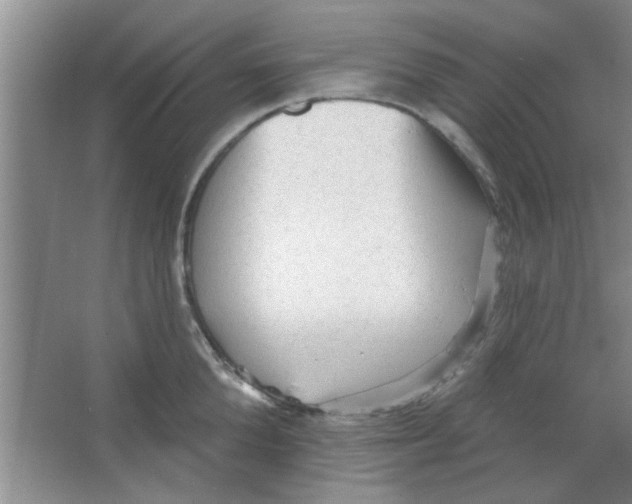 X0000065970904200603311835