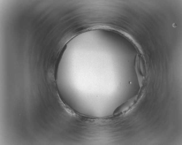 X0000065970905200603311835