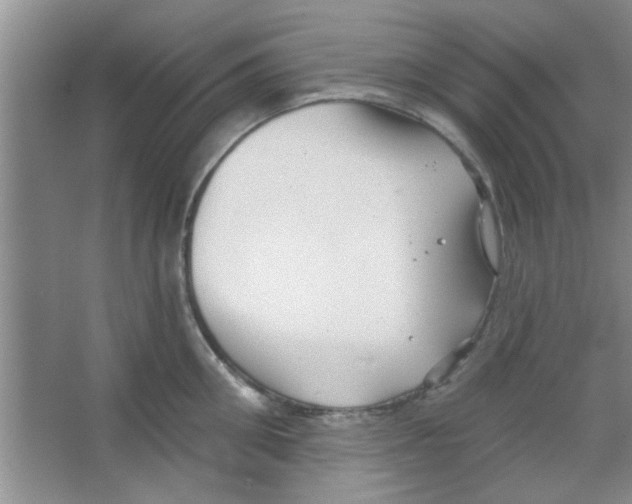 X0000065970906200603311835