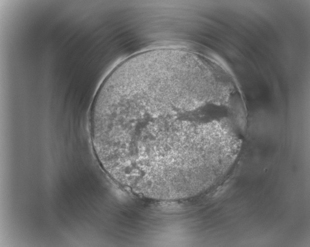 X0000065970907200603311835