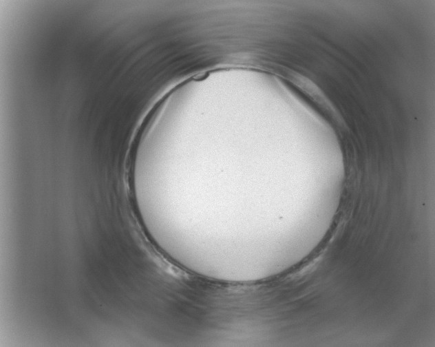 X0000065970908200603311835