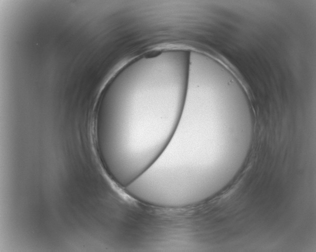 X0000065970909200603311835