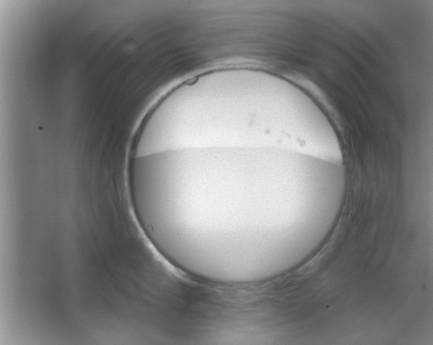 X0000065970910200603311835