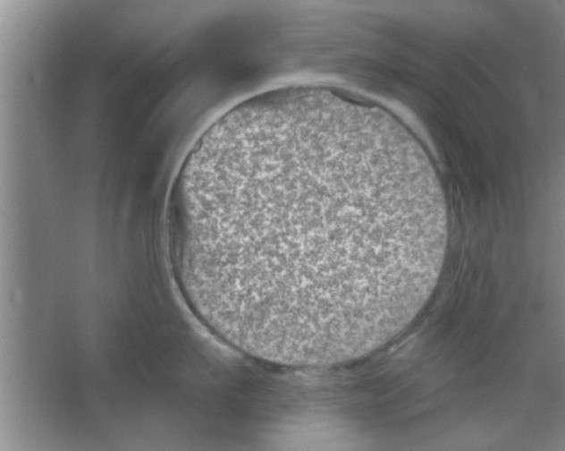 X0000065970911200603311835