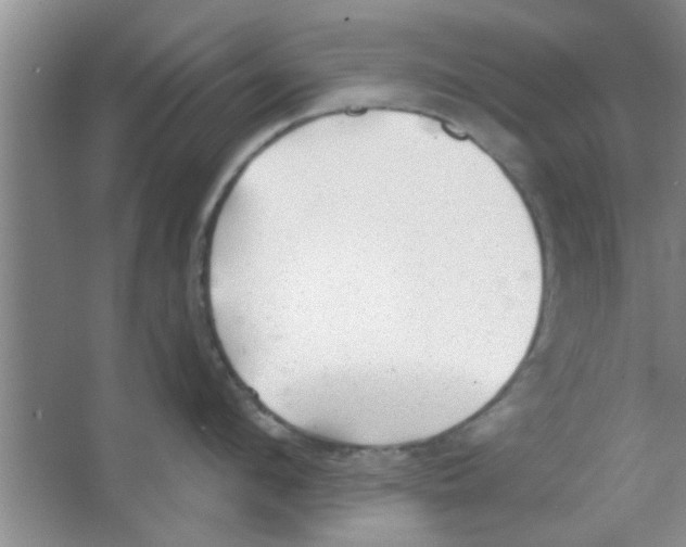 X0000065970912200603311835