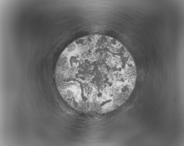 X0000065970913200603311834